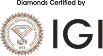 IGI - International Gemological Institute